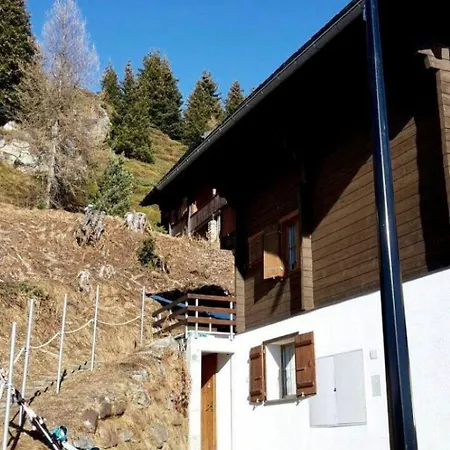 Konkordia 2 Eg Sued-ost Appartement-fewo- Dusche Oder Bad- Wc By Interhome Bettmeralp
