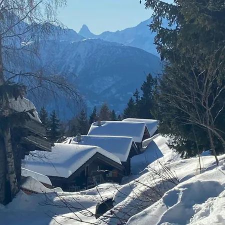 Apartamento Konkordia 2 Eg Sued-ost Appartement-fewo- Dusche Oder Bad- Wc By Interhome Bettmeralp